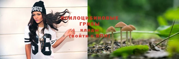 мяу мяу мука Семёнов