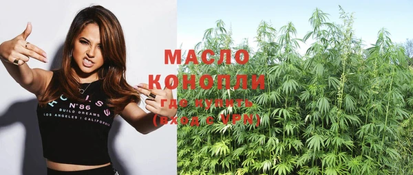 молекула духа Семилуки
